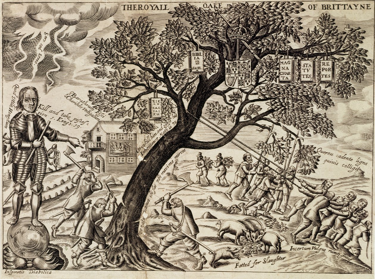 The Royal Oak of Britain, from The Compleat History of Independency. Upon the Parliament by English School