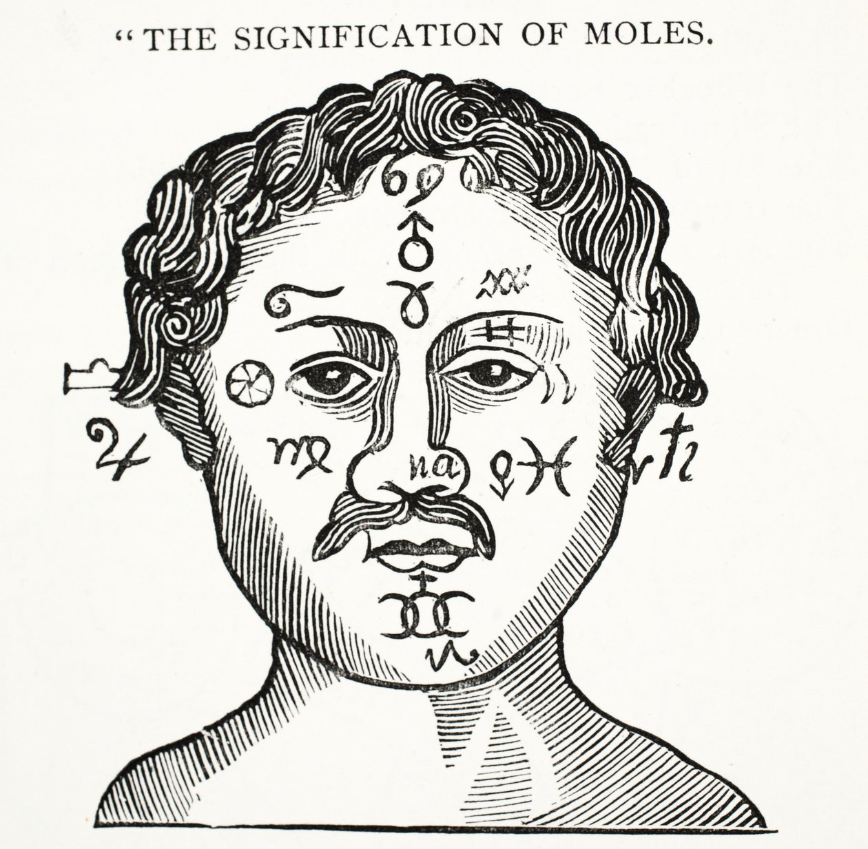 The Signification of Moles, illustration from Chap-books of the Eighteenth Century by John Ashton, pub. 1882 by English School