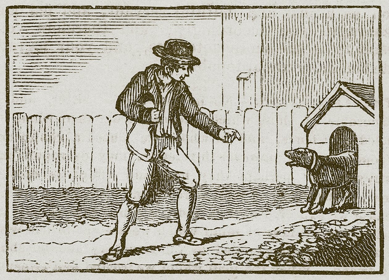 The Thief and the Dog by English School