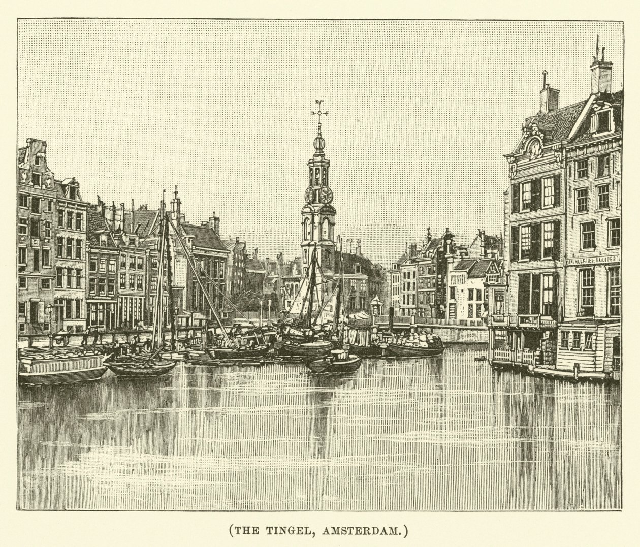 The Tingel, Amsterdam by English School
