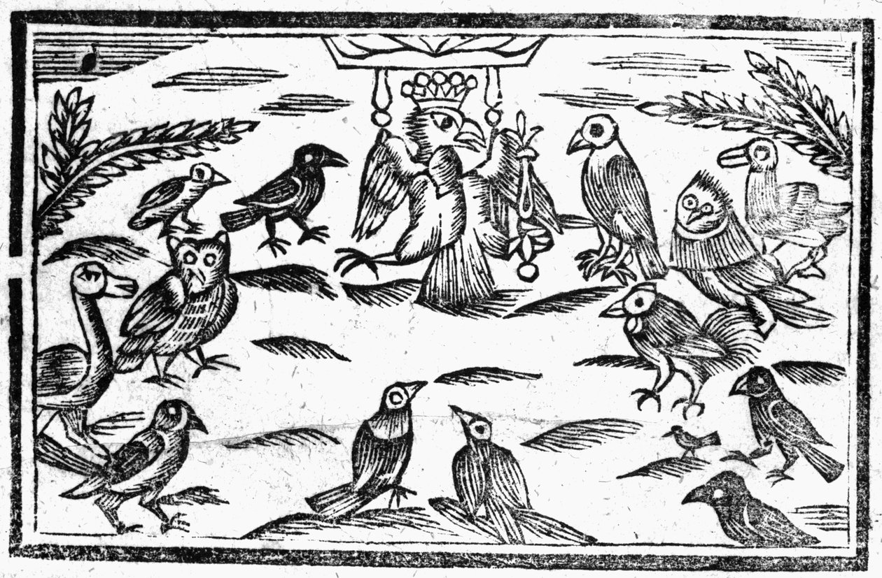 The Woody Choristers or The Birds Harmony, an Illustration from 