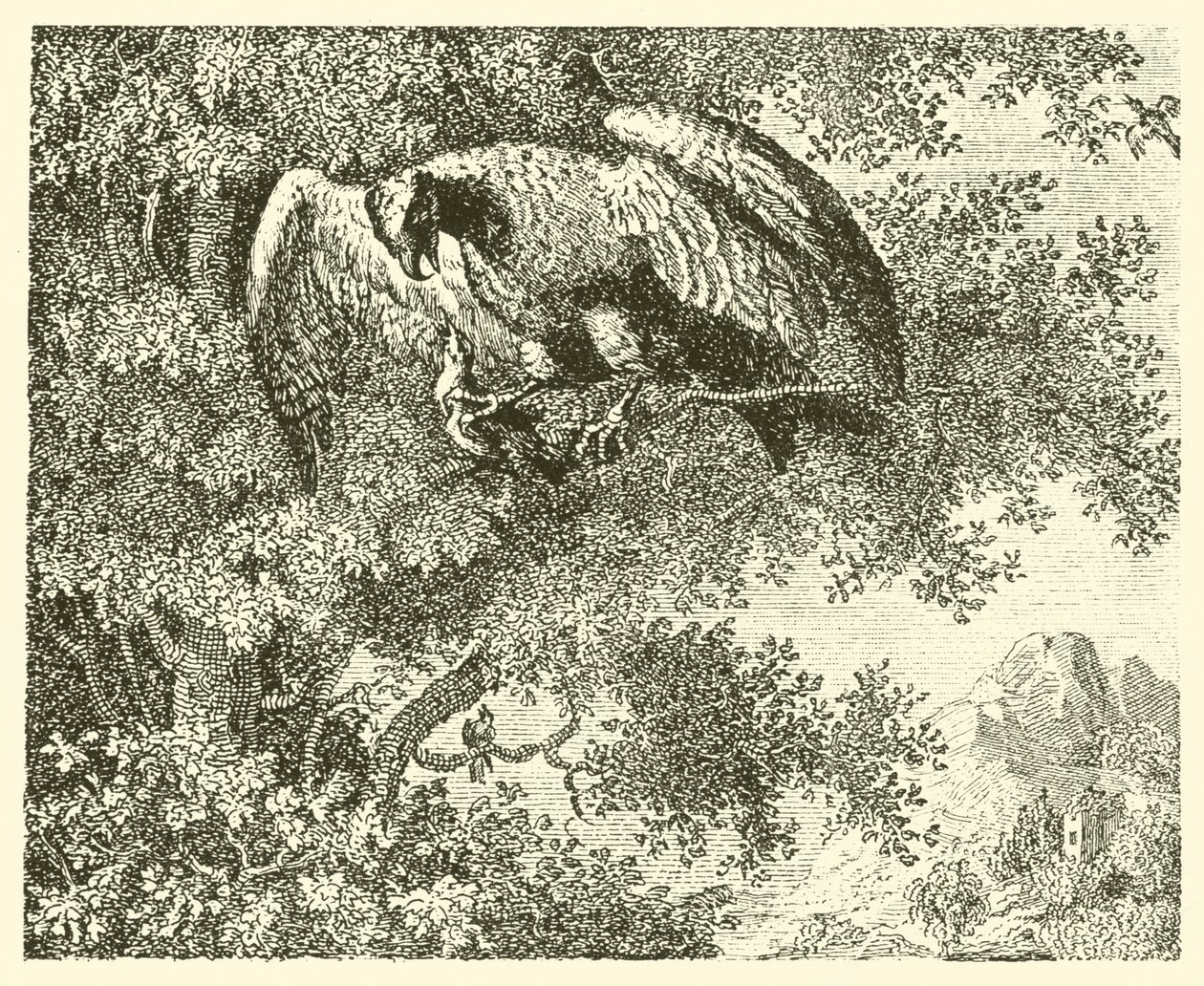 The Hawk and the Nightingale by English School
