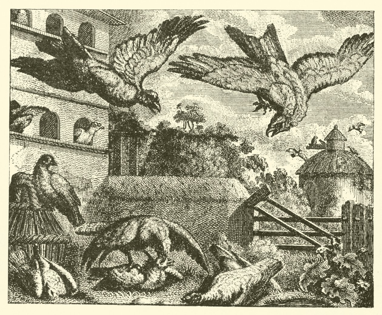 The Kite and the Pigeons by English School