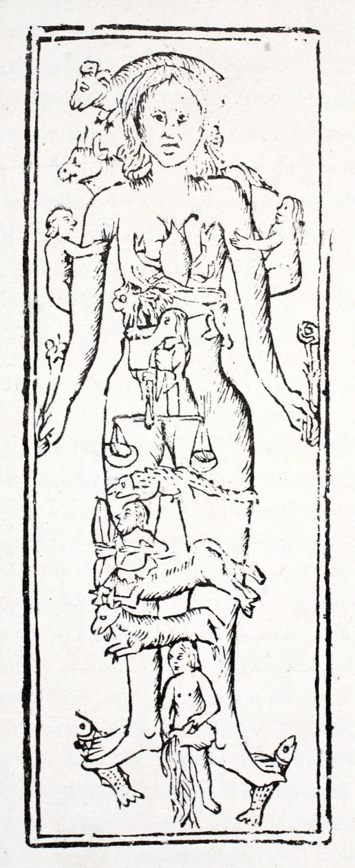 The Parts of the Body Which Control Each Zodiac Sign by English School