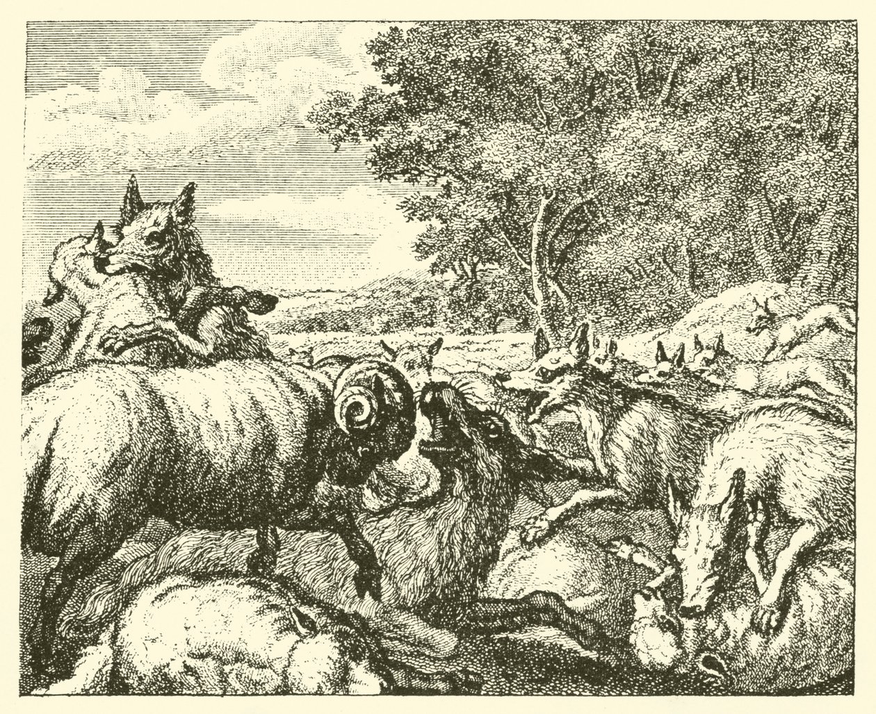 The Wolves and the Sheep by English School