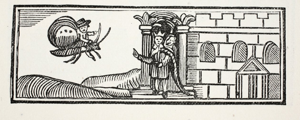 Tom hid himself and tried to escape on the back of a butterfly (illustration) by English School