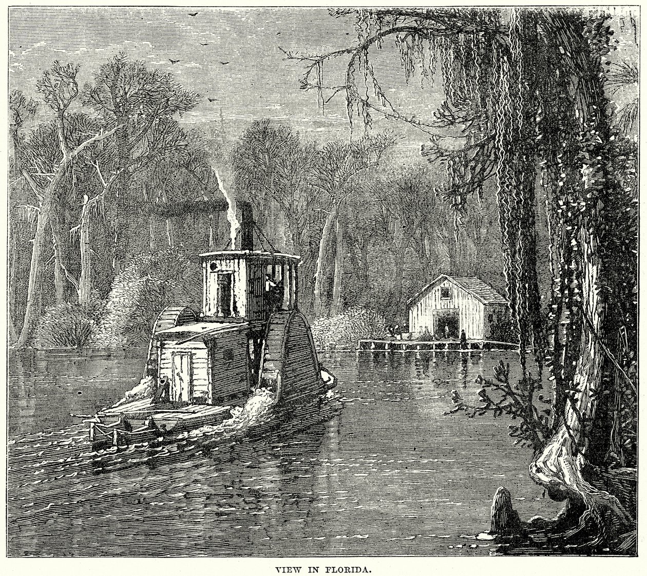 View in Florida by English School