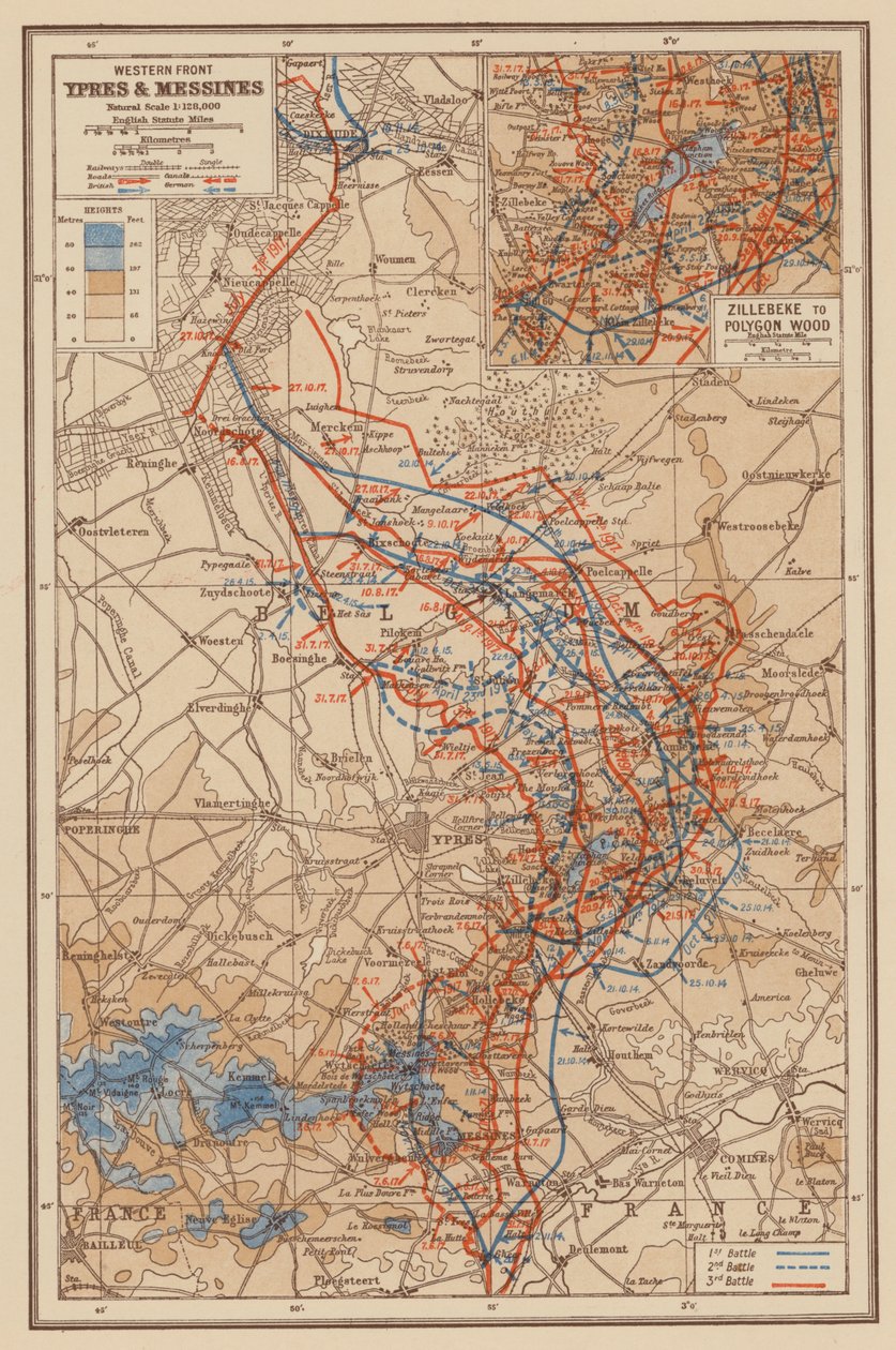 WW1: Western Front, Ypres and Messines by English School