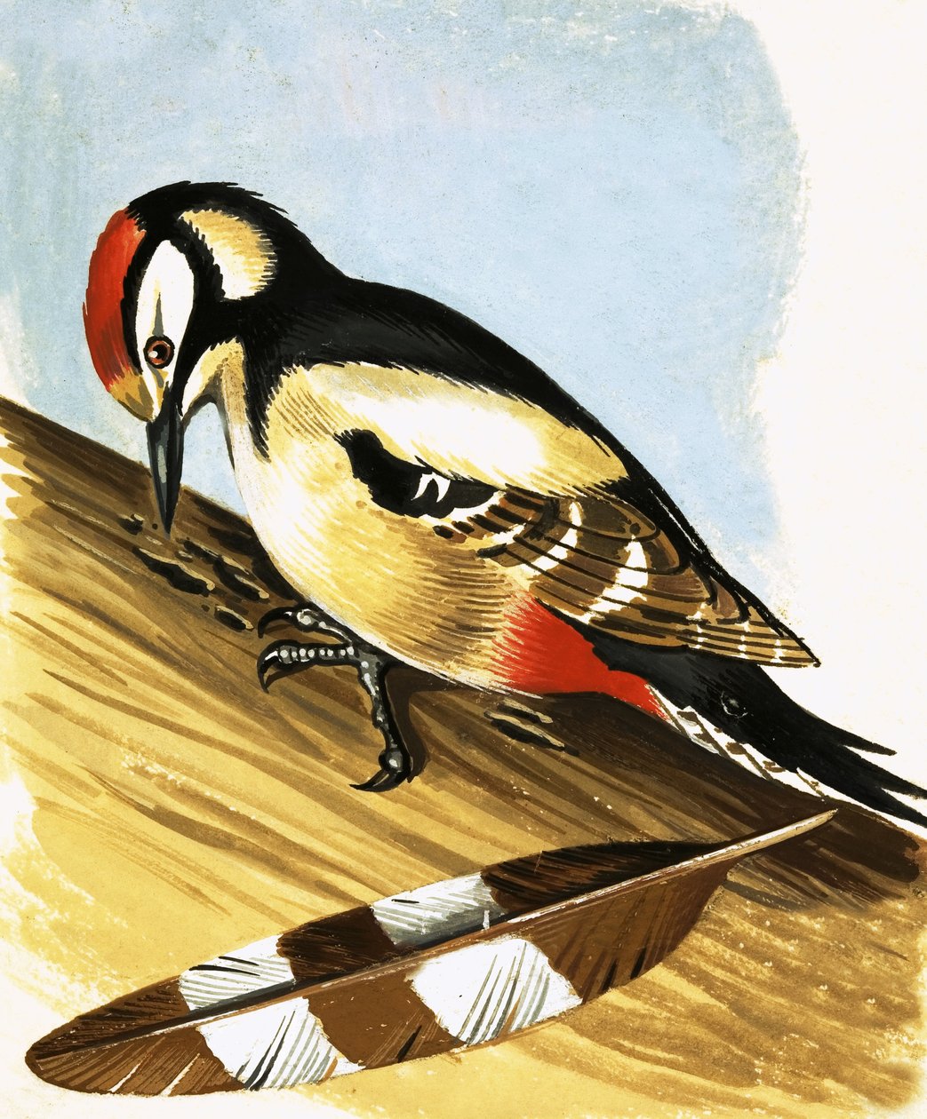 Woodpecker by English School