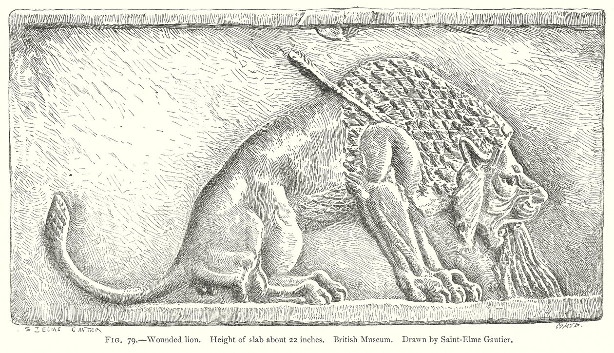 Wounded Lion by English School