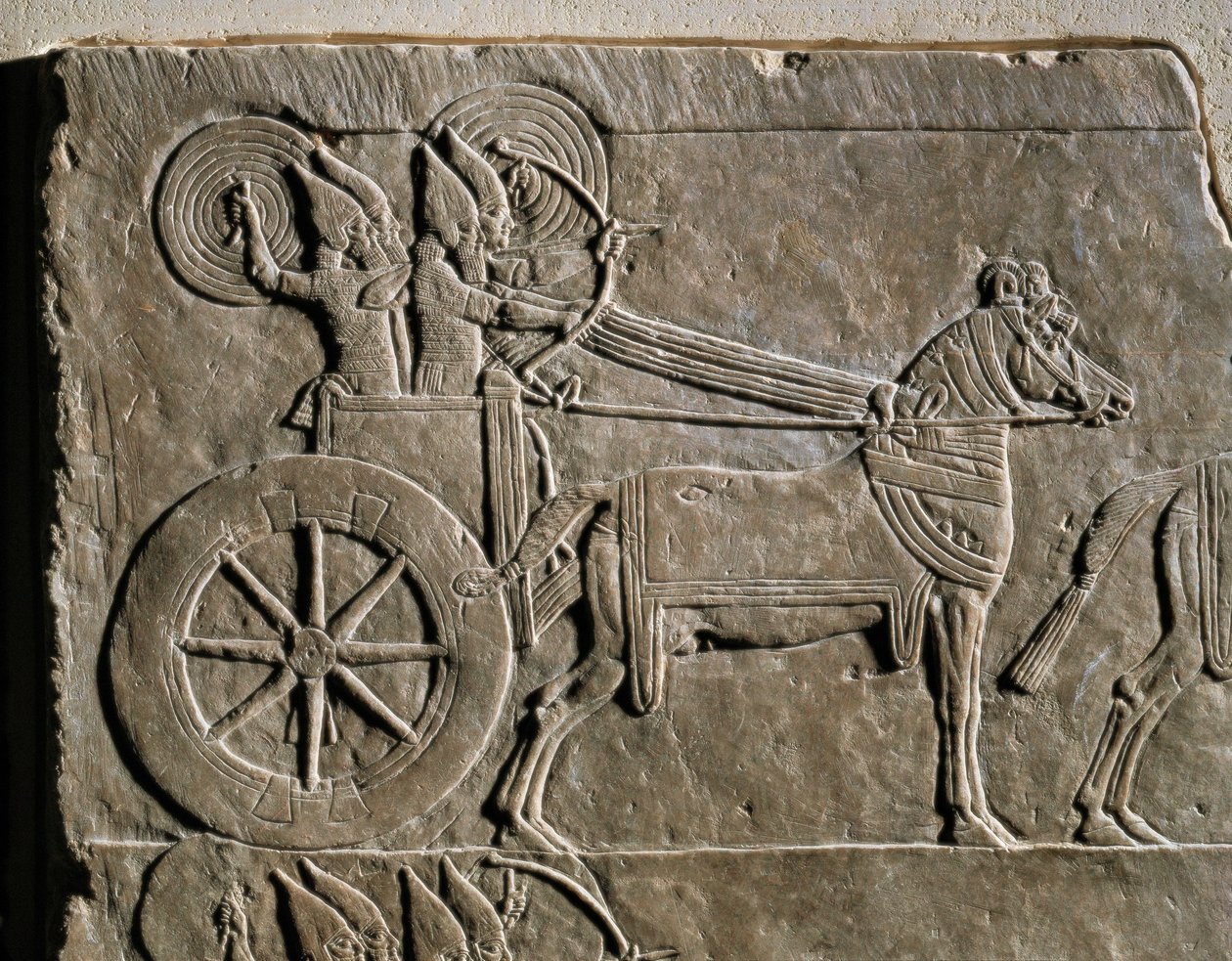 Assyrian war chariot with charioteer by Erich Lessing