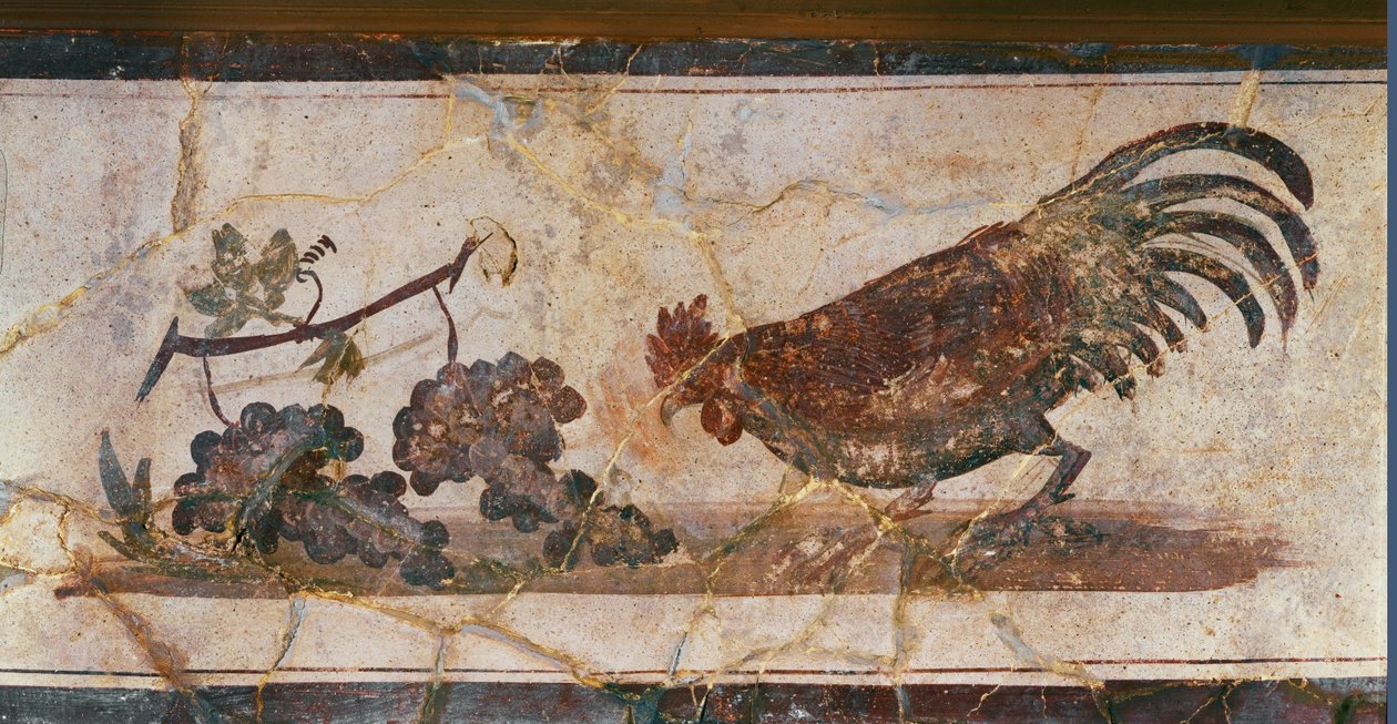 Cock and grapes, Herculaneum, Italy by Erich Lessing
