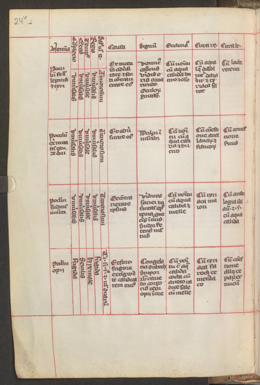 Full Page: Text by Erich Lessing