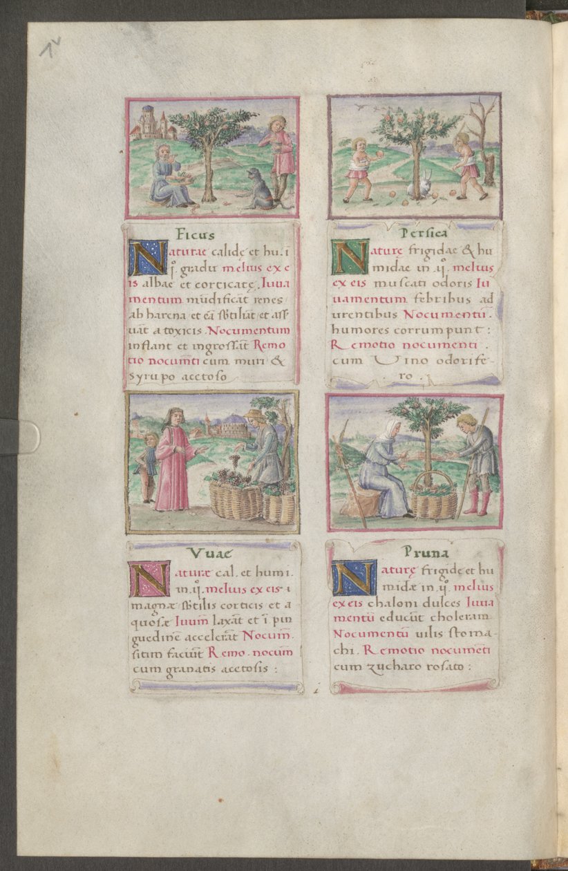 Full Page: Text and Miniatures by Erich Lessing