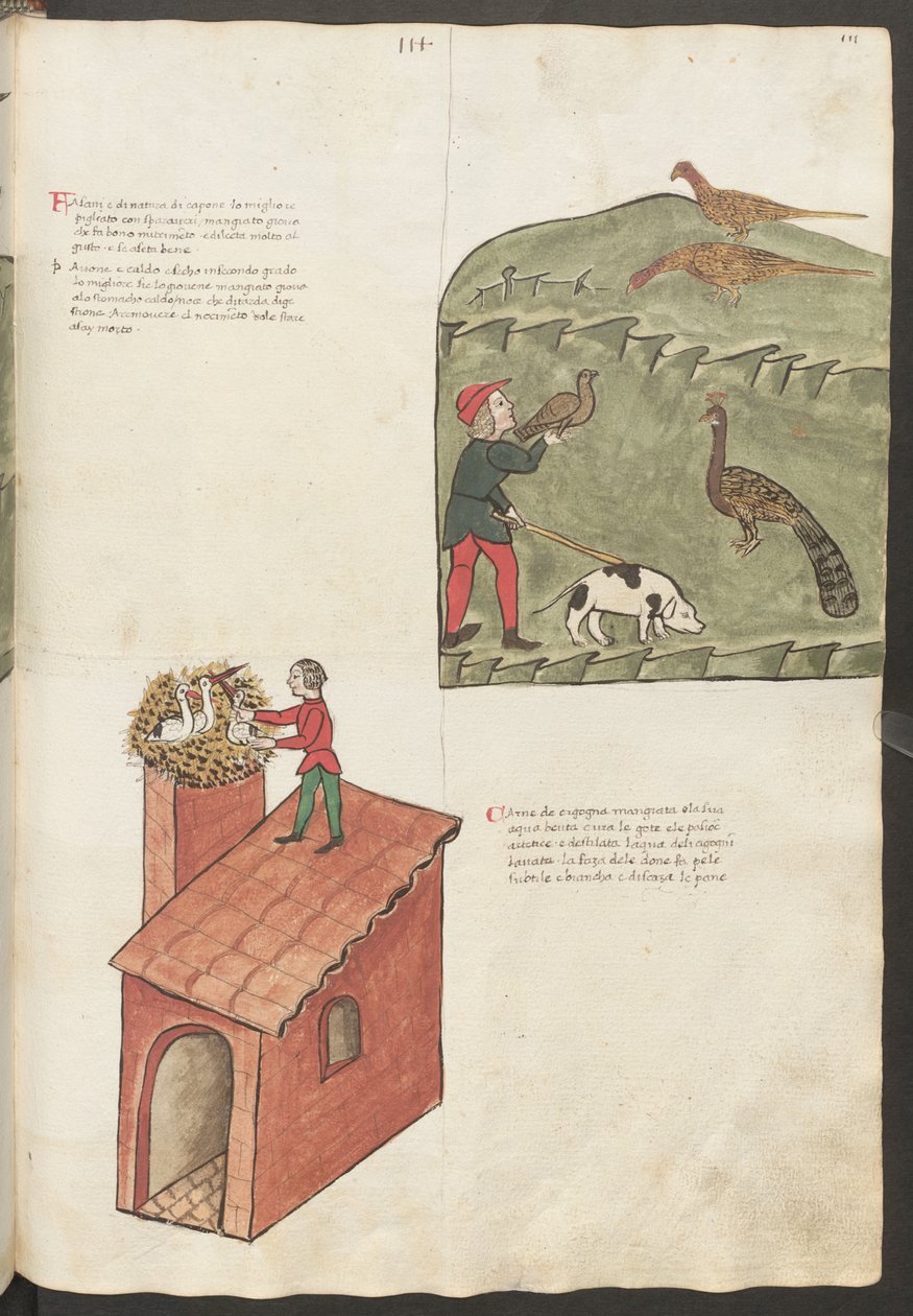 Full Page: Text and Miniatures: 