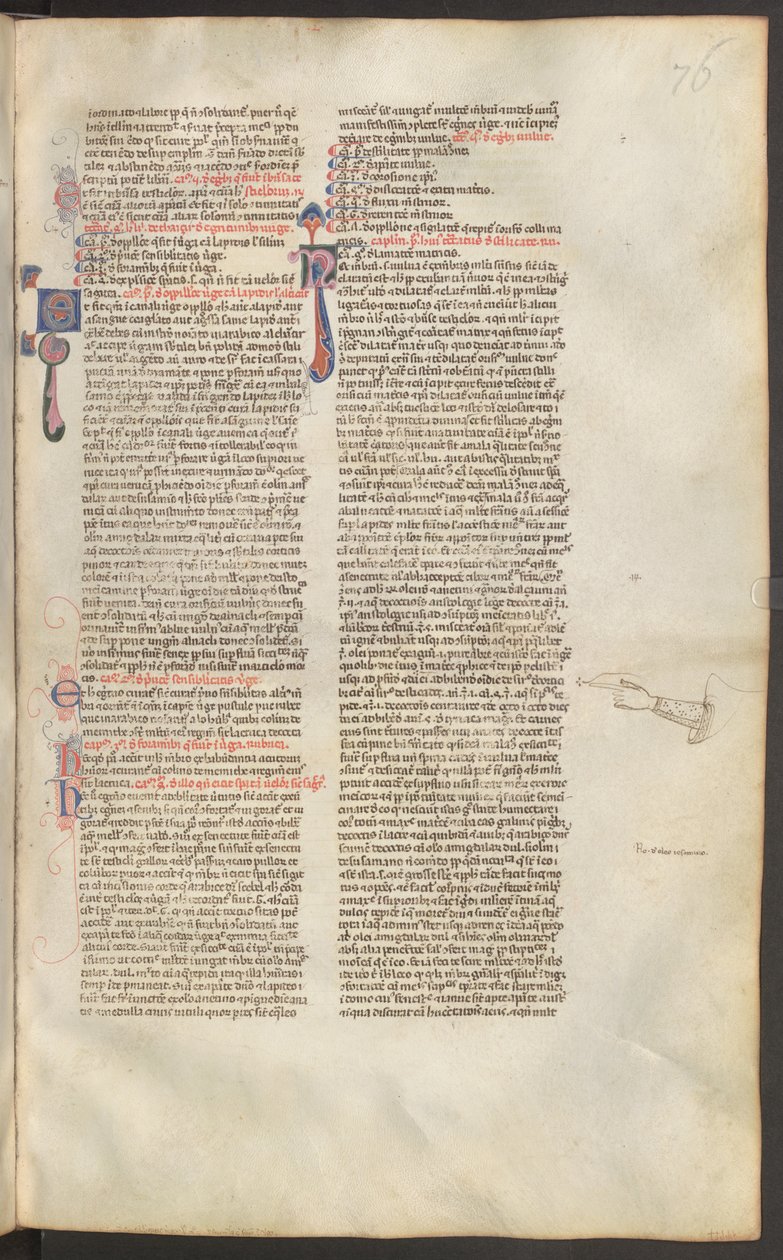 Full Page: Text with Initial by Erich Lessing