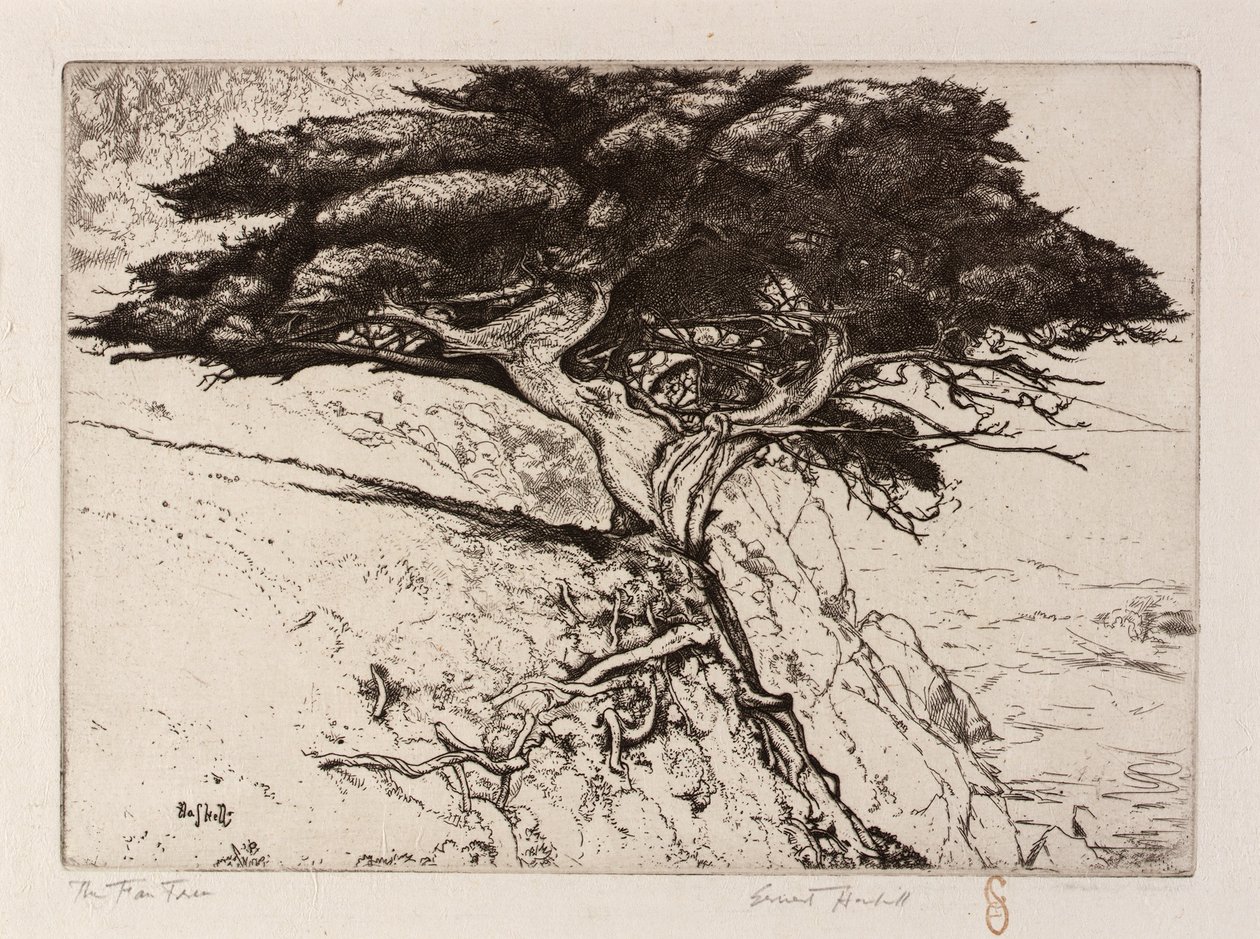 The Fan Tree by Ernest Haskell