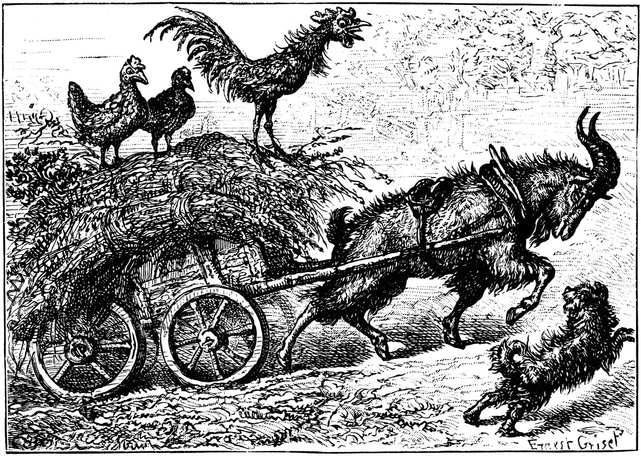 Illustration from the children