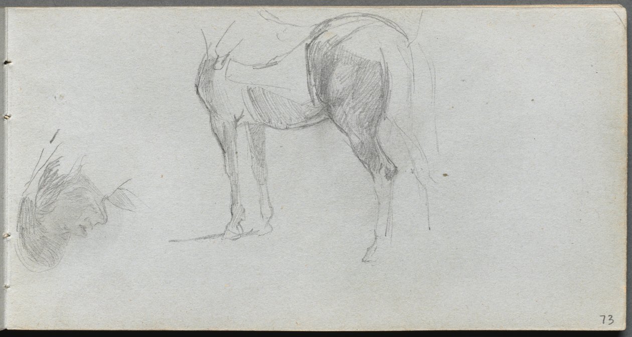 Sketchbook, Page 73: Study of a Horse, Profile by Jean Louis Ernest Meissonier