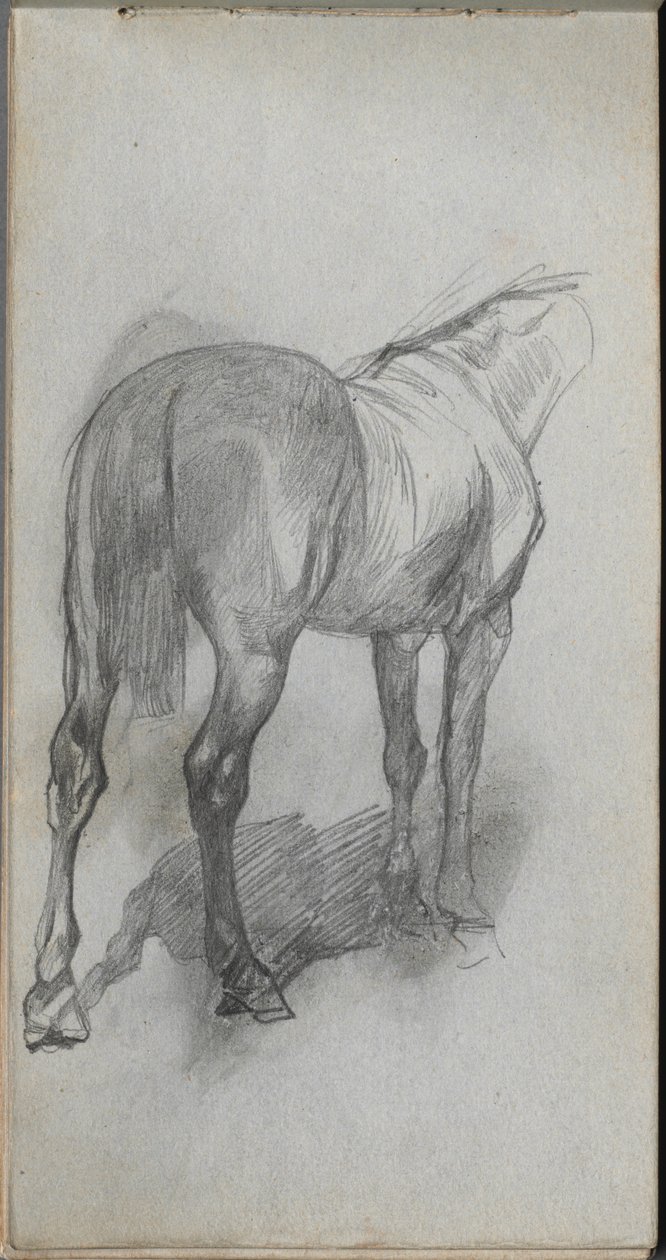 Sketchbook, page 76: Study of a Horse by Jean Louis Ernest Meissonier