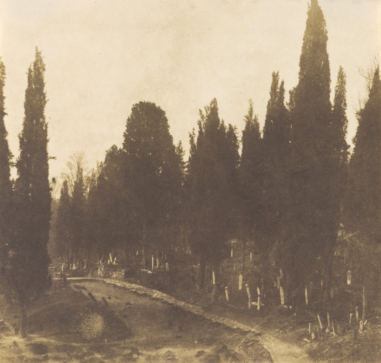 Turkey: Scutari Cemetery, 1852 by Ernest de Caranza