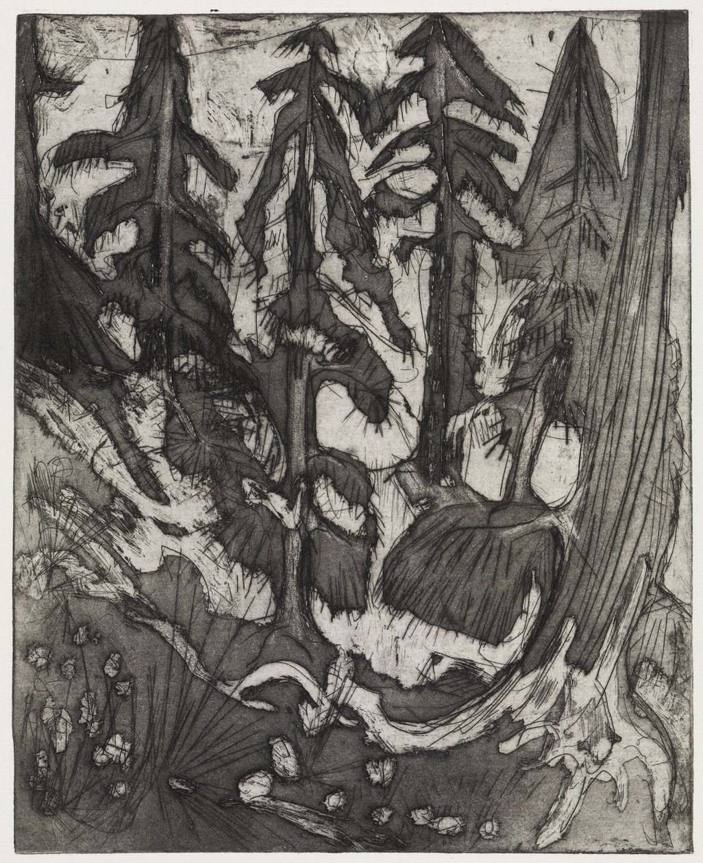 Mountain Forest by Ernst Ludwig Kirchner