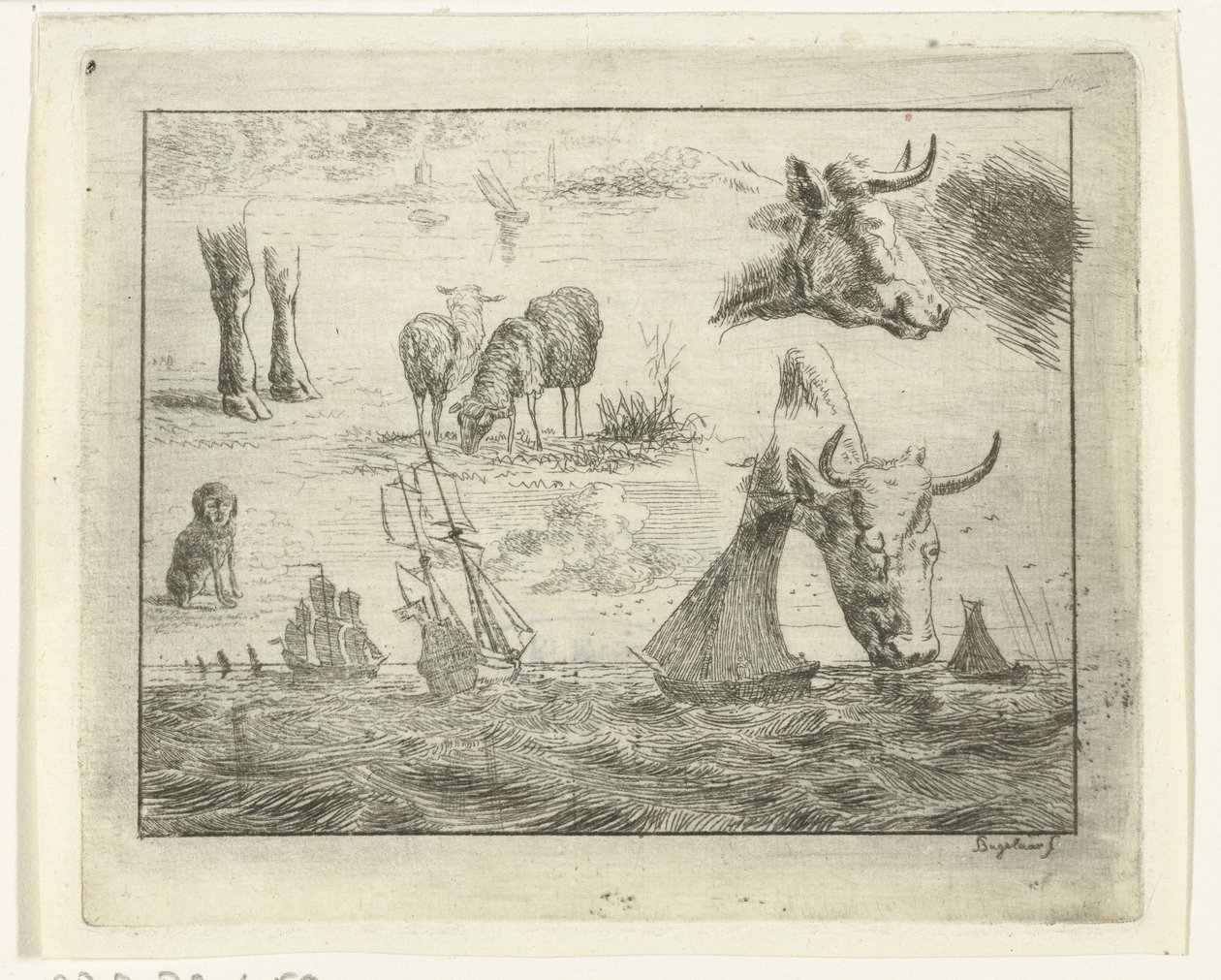 Study Sheet with a Seascape, Two Cow Heads, Sheep, a Dog, and Two Paws by Ernst Willem Jan Bagelaar