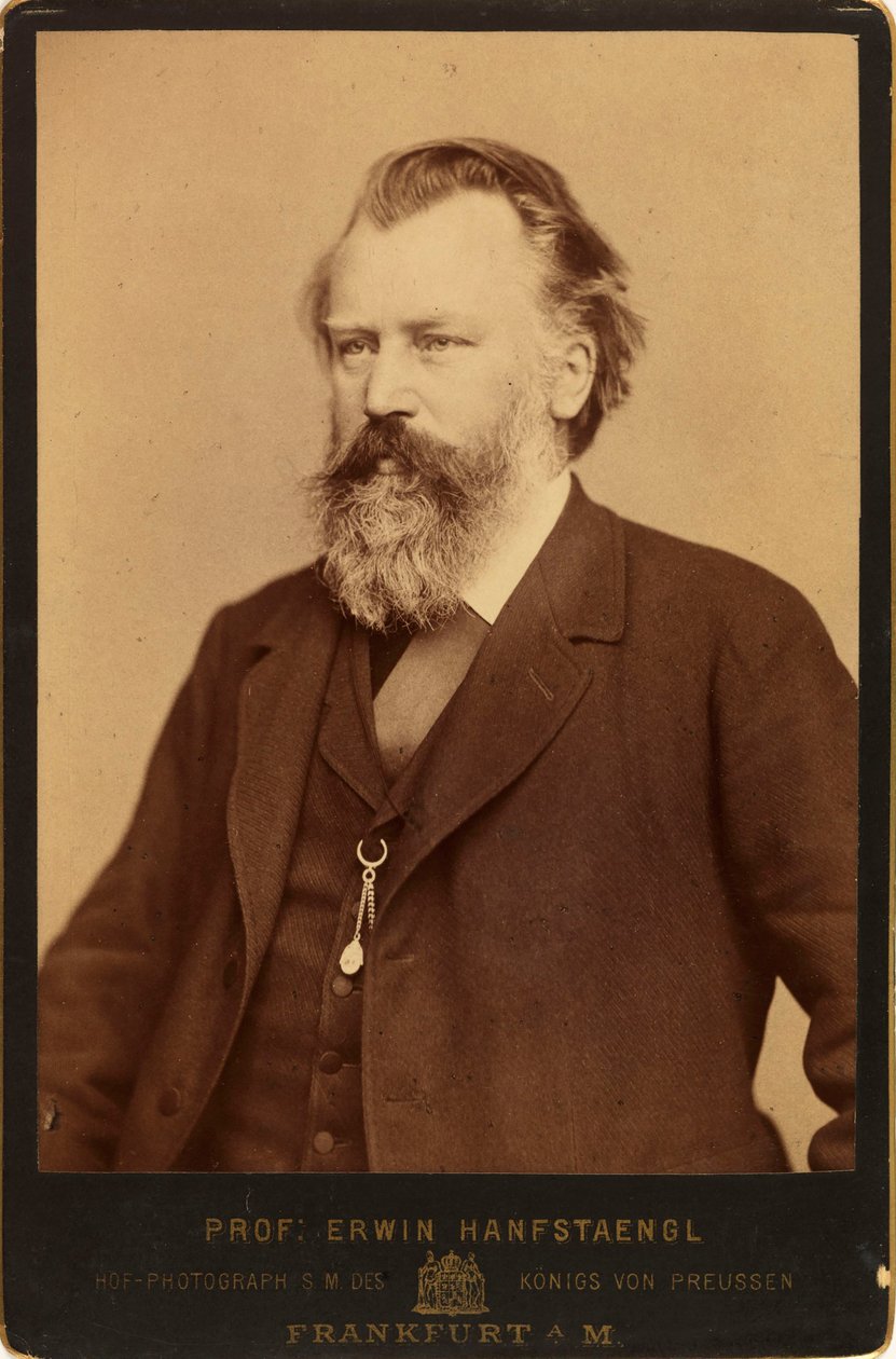 Portrait of the Composer Johannes Brahms, c. 1870 by Erwin Hanfstaengl