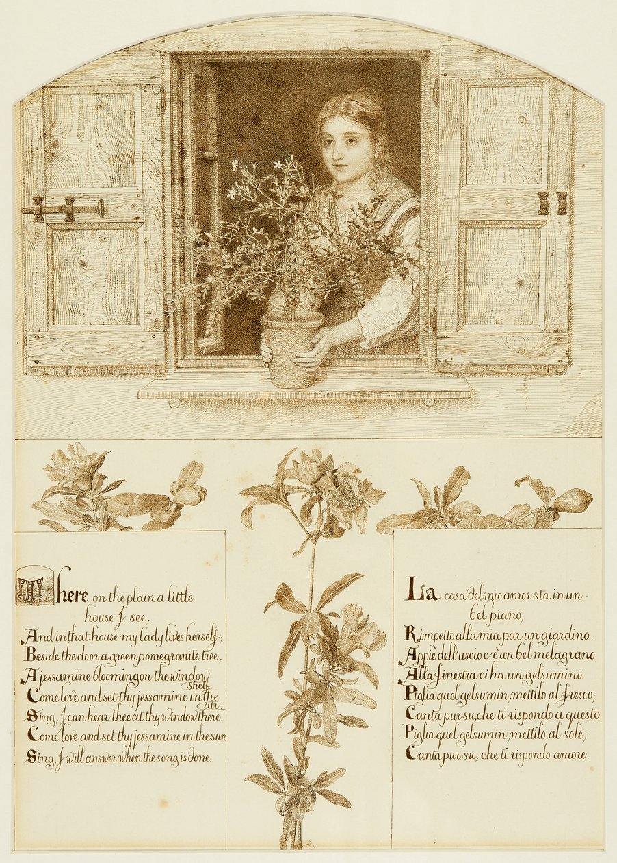 The Jessamine Window, drawing towards 