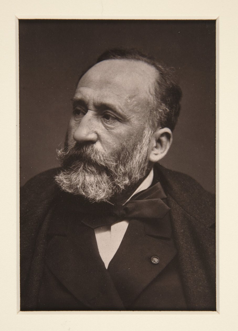 Portrait of Pierre Puvis de Chavannes (1824-1898) by Etienne Carjat