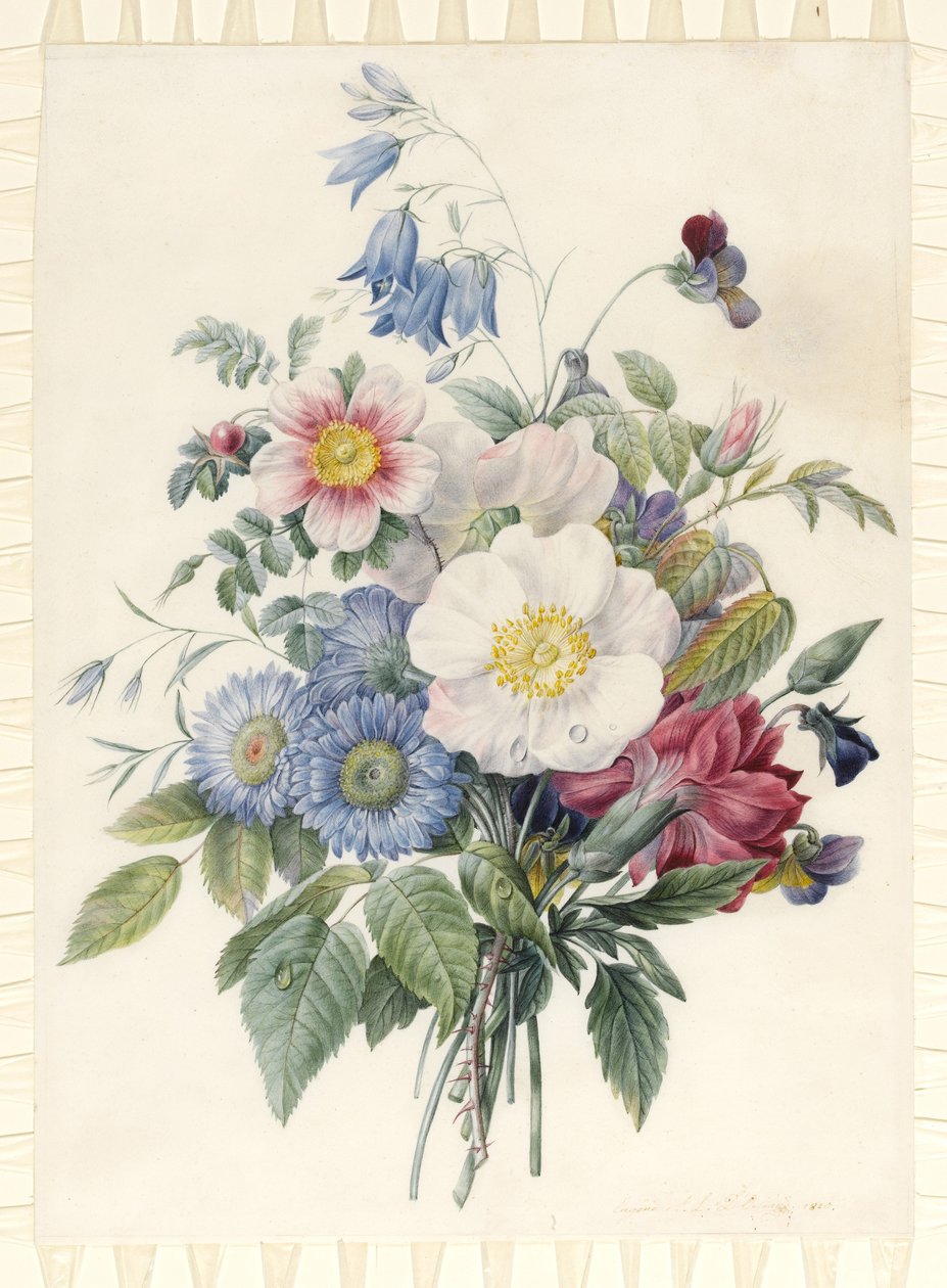 Blue Asters, Rosa Spinosissima Hybrid, Harebell, Violas, Cartnation and a Wild Rose, 1820 by Eugene A. L. d Orleans