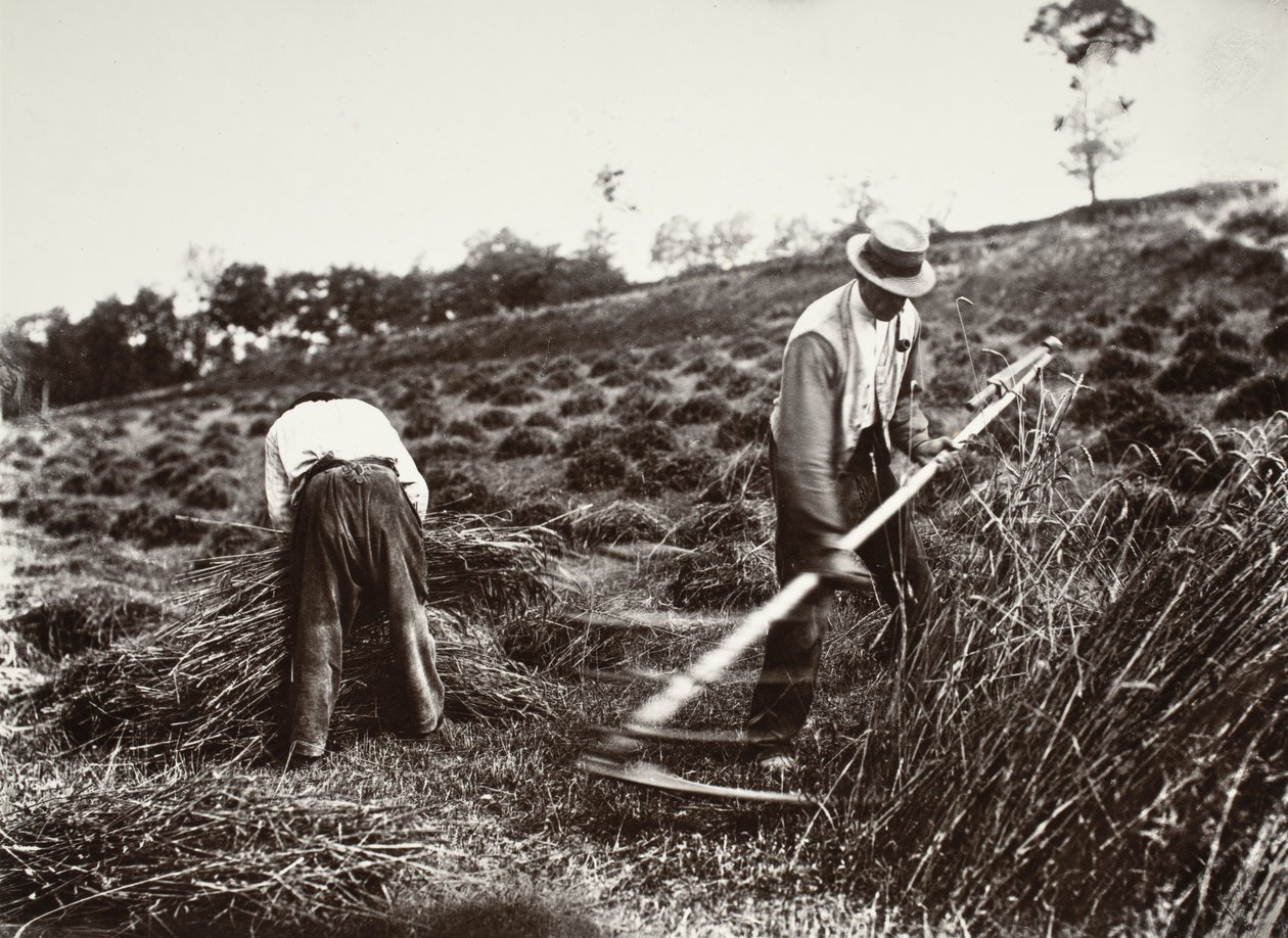 Reapers, Somme by Eugène Atget