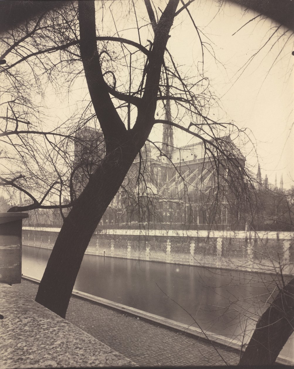 Notre-Dame, 1922 by Eugène Atget