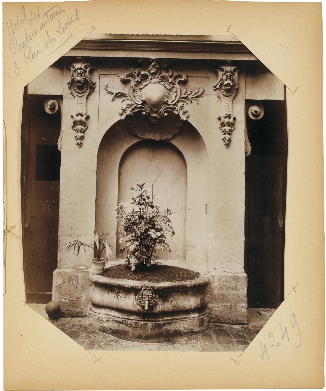 Page from the Album 