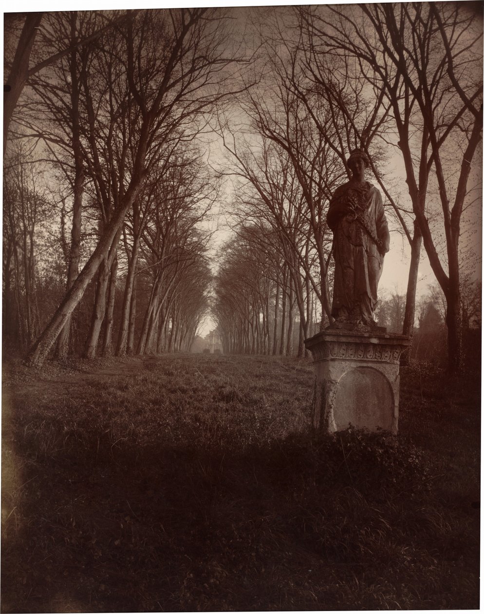 Parc de Sceaux, 1925 by Eugène Atget