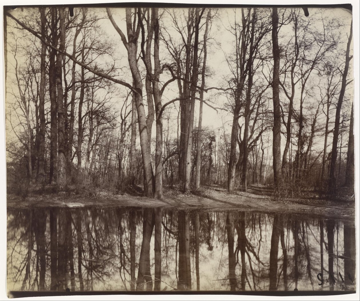 Saint-Cloud (gardens of the chateau of Philippe Duc d