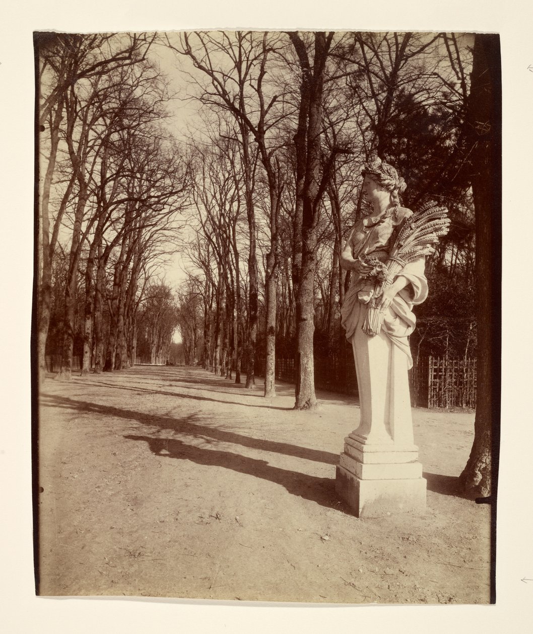 The Park, Versailles by Eugène Atget