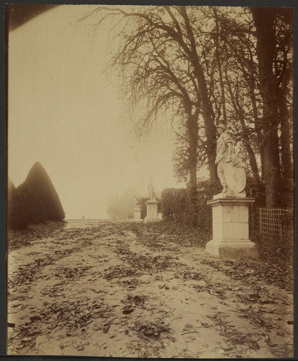 Versailles, the Park (Avenue in the Park at Versailles) by Eugène Atget