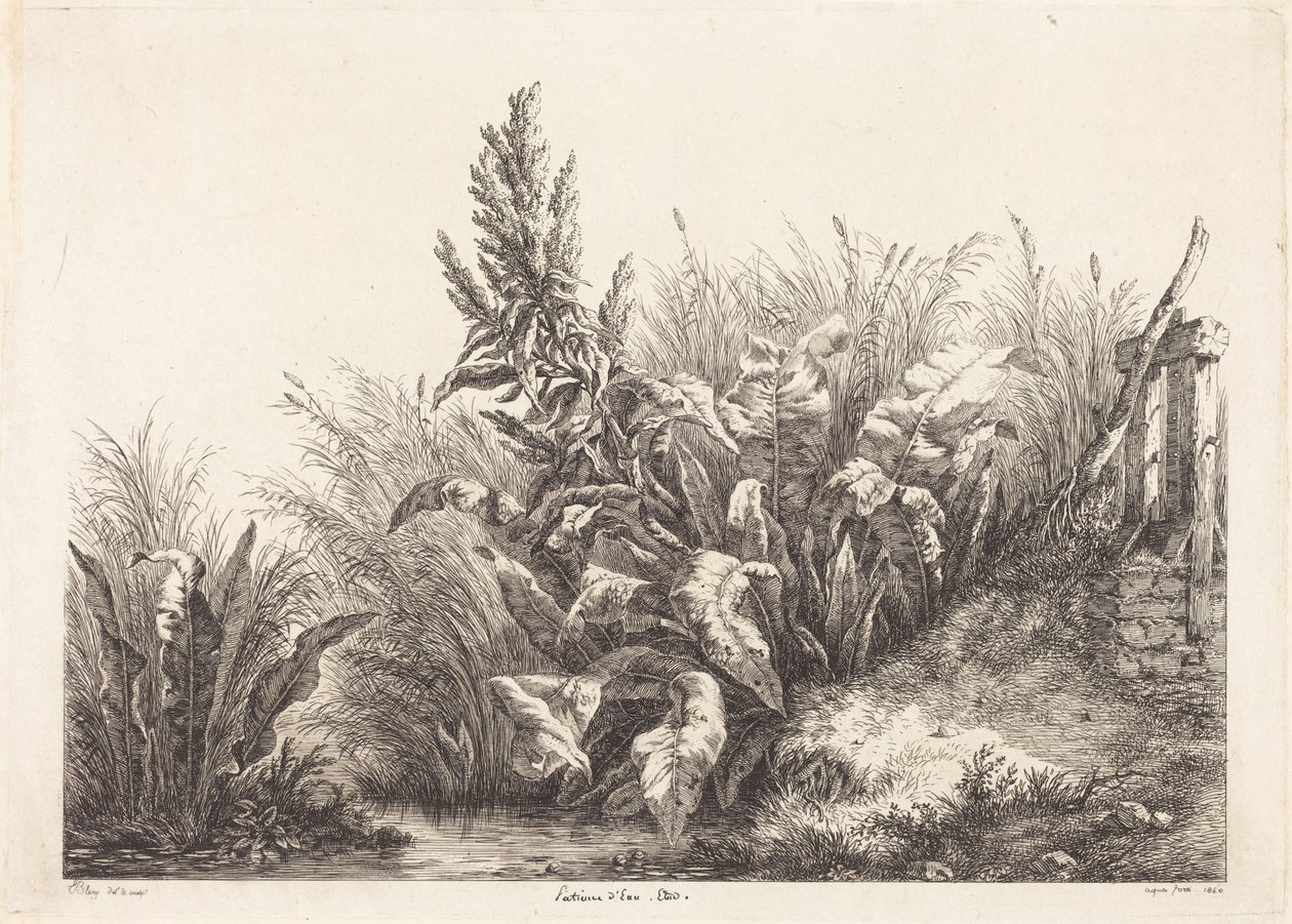 Water Dock, Study by Eugene Bléry