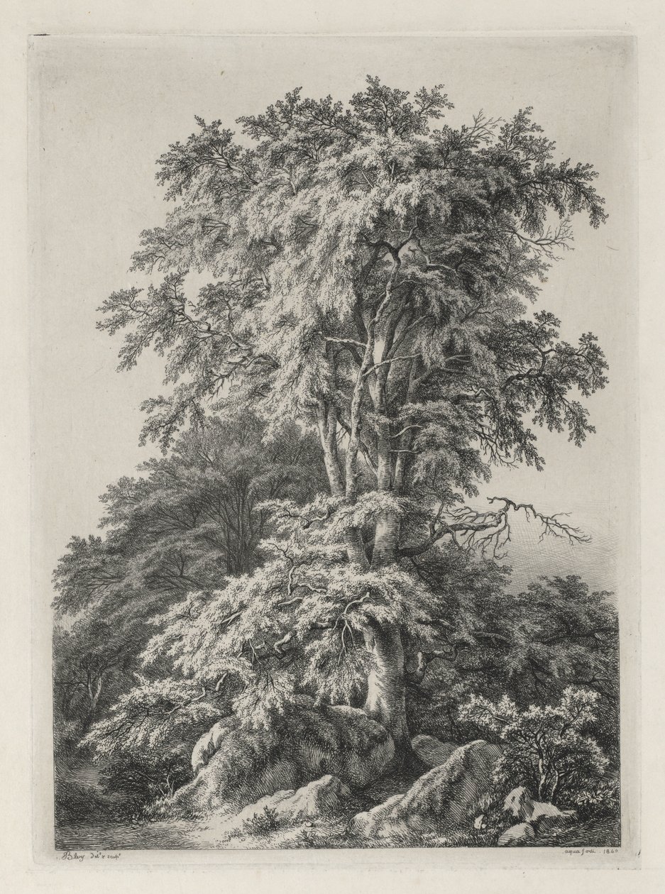 Studies Drawn and Engraved after Nature: The Beach, Fontainbleau by Eugene Bléry