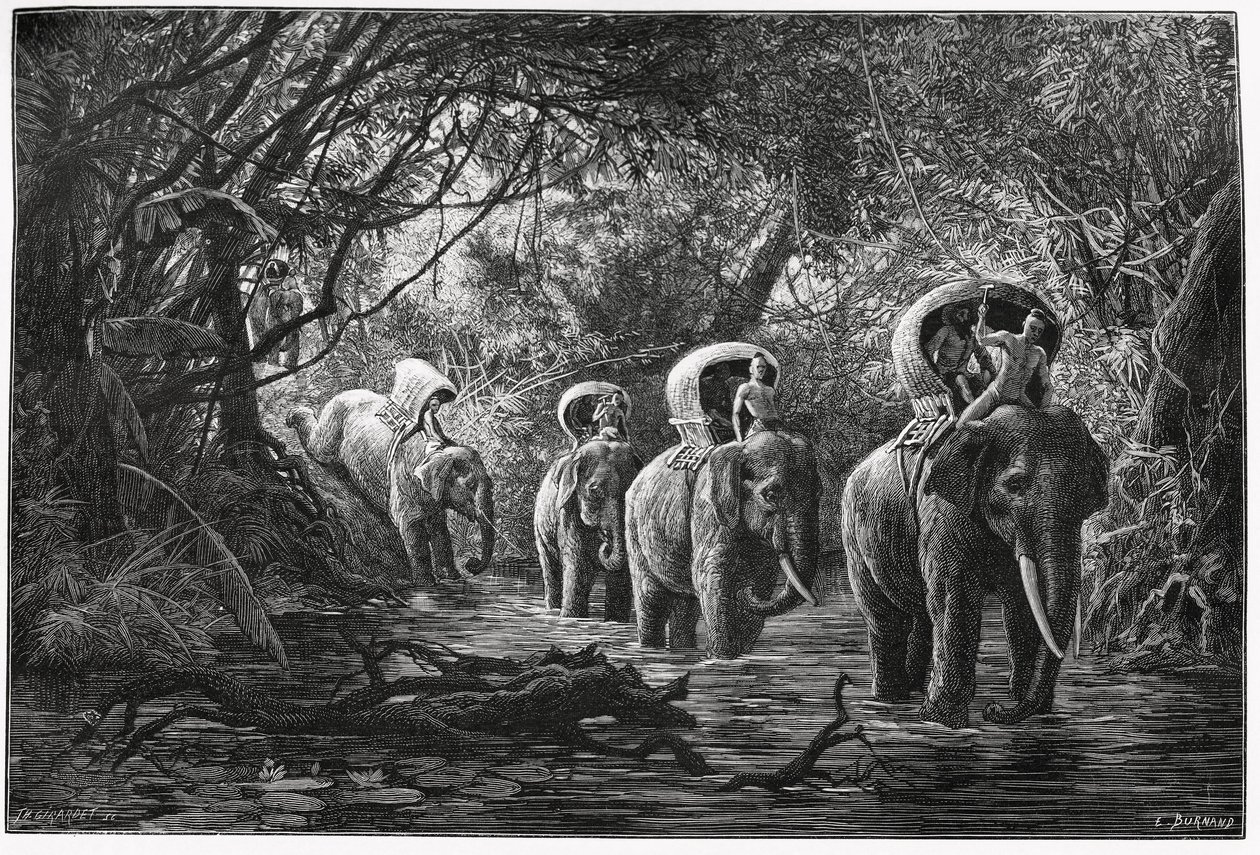 On the way into the forest, the expedition travels on the back of an elephant. Engraving by Eugene Burnand, to illustrate the story Journey in Upper Laos, in 1880, by Dr. P.Neis. Published in Le Tour du monde, nouveau journal des voyages, 2nd semester 1880 by Eugene Burnand