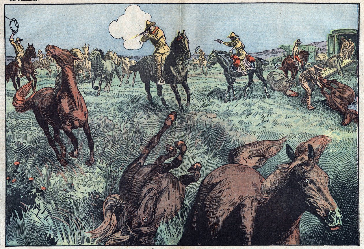 Wild horses are slaughtered in the United States. Illustration of Damblans. In 