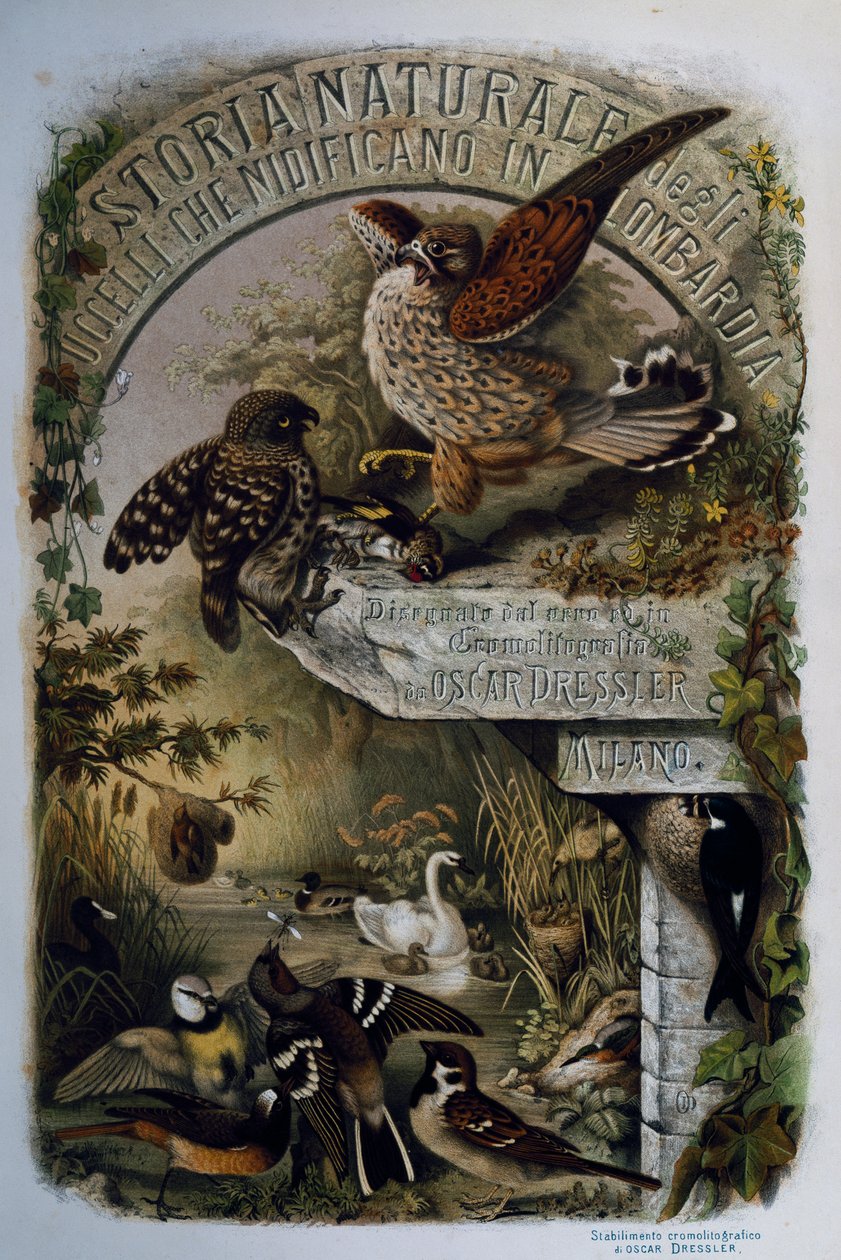 Title page of Natural History of Birds that nest in Lombardy, engraving by Oscar Dressler, Italy by Eugenio Bettoni, Oscar Dressler