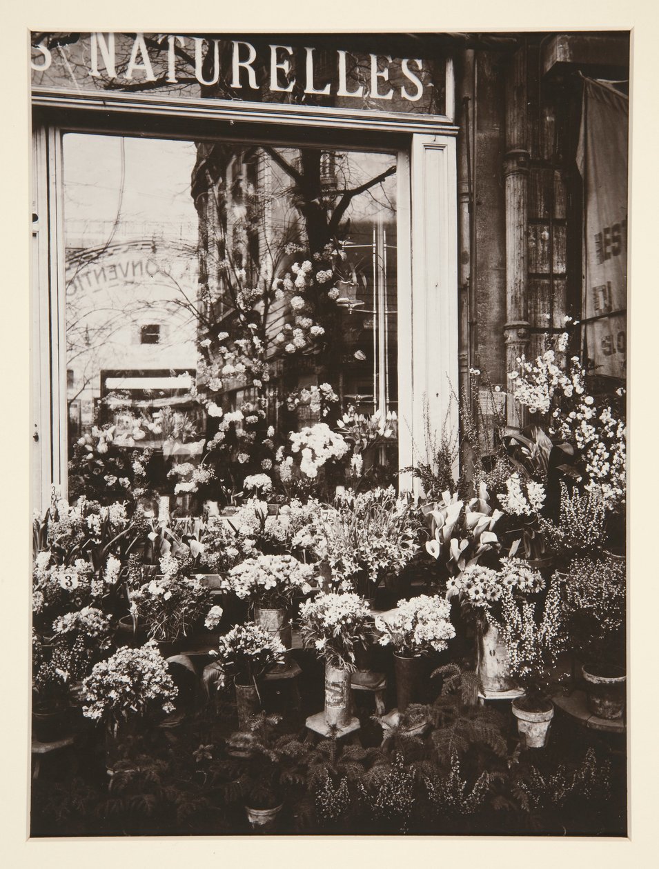 Flower Shop by Eugène Atget