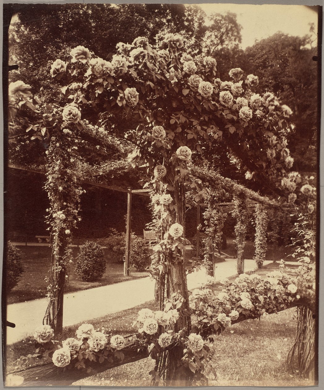 Garden of Bagatelle by Eugène Atget