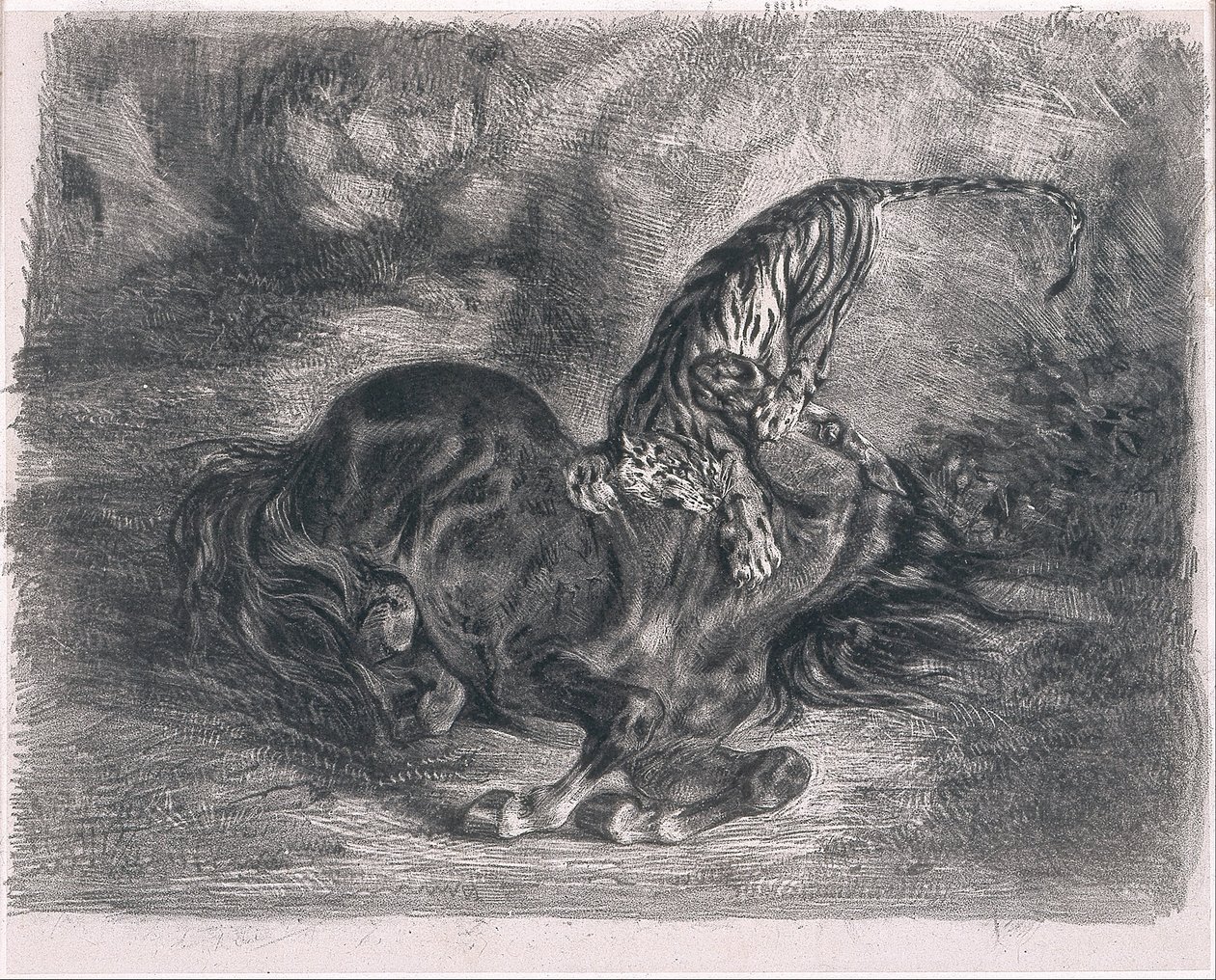 Wild Horse Overpowered by a Tiger by Ferdinand Victor Eugene Delacroix