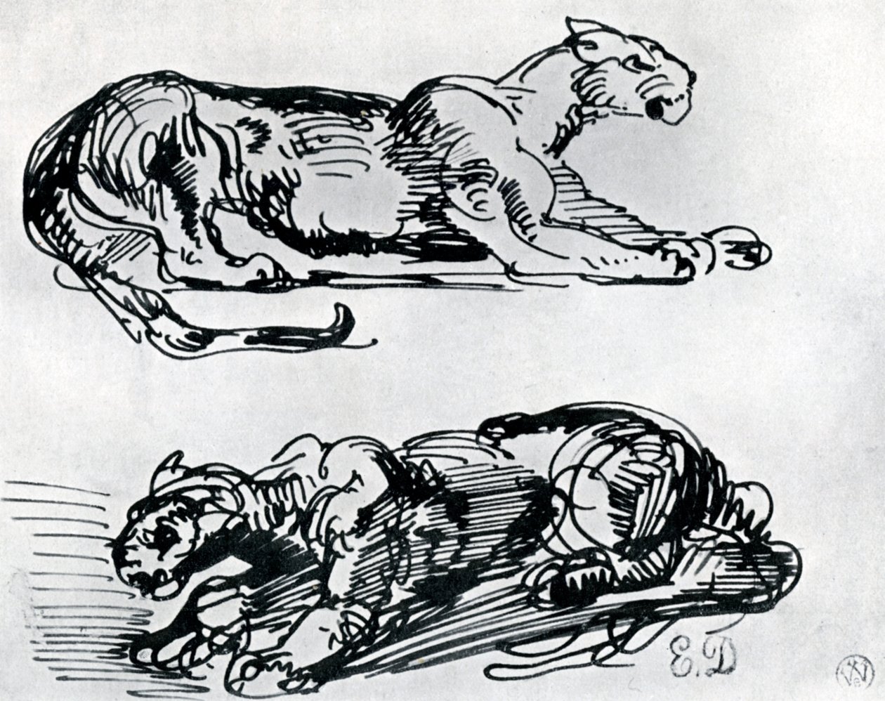Studies of Panthers, 1913 by Ferdinand Victor Eugene Delacroix