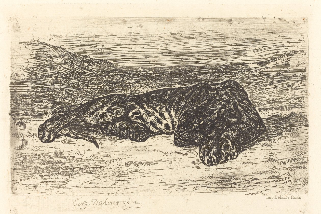 Tiger Sleeping in the Desert, 1846 by Eugène Delacroix