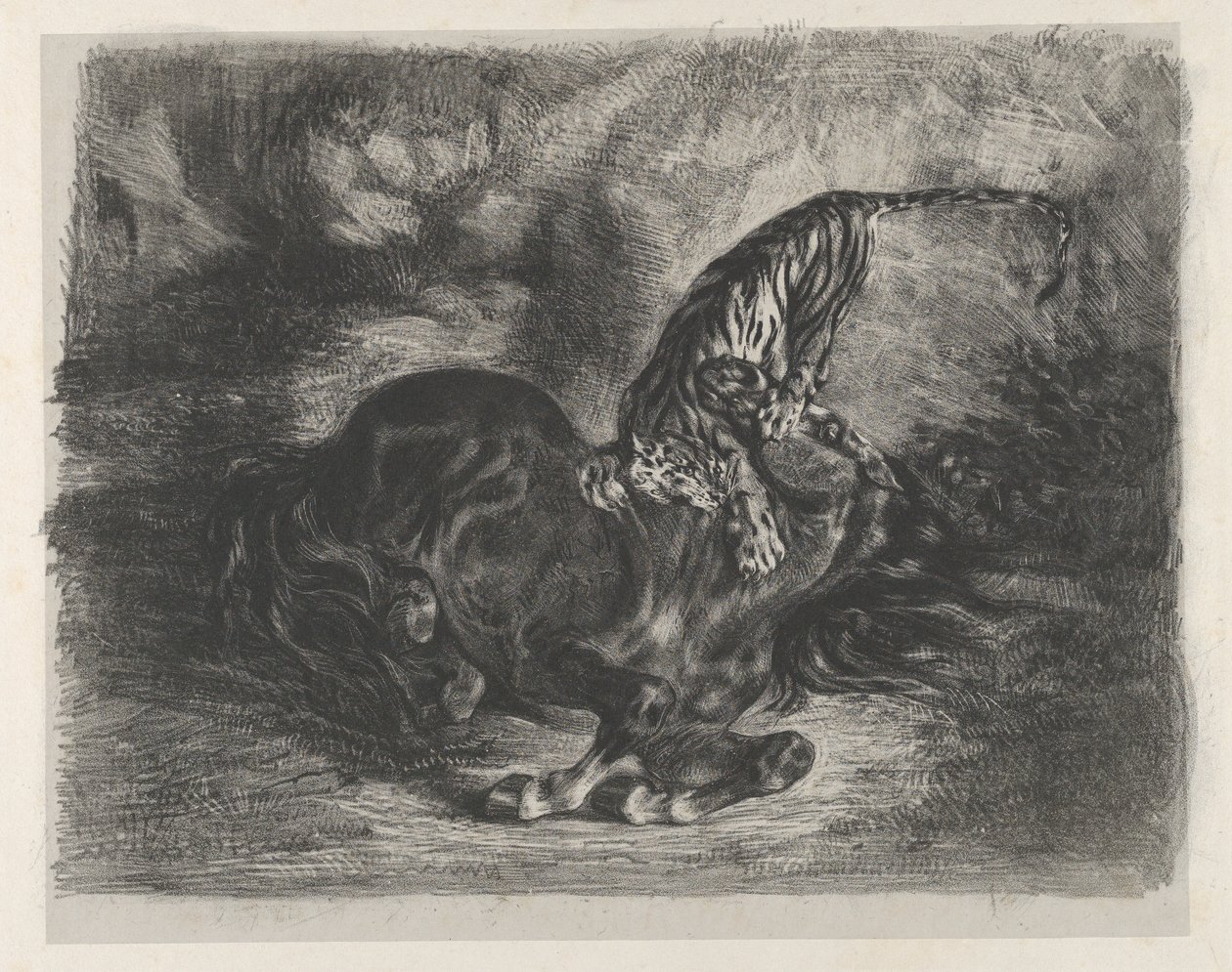 Wild Horse Felled by a Tiger by Eugène Delacroix