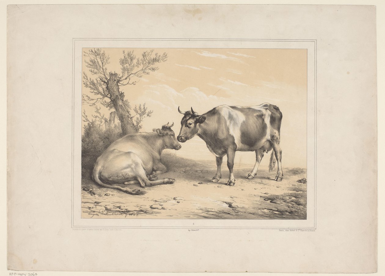 Two Cows (Various Domestic Animals / Thirteen Subjects of Domestic and Indigenous Animals series) by Eugène Verboeckhoven
